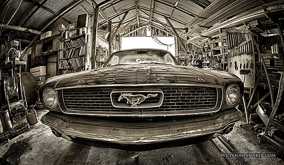 Ford Mustang Photo