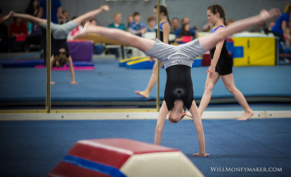 Gymnastics Homeschool Show