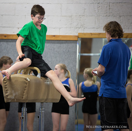 Gymnastics Homeschool Show