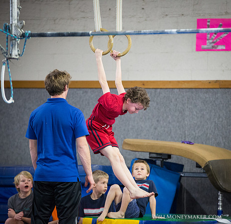 Gymnastics Homeschool Show