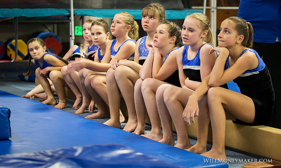 Gymnastics Homeschool Show