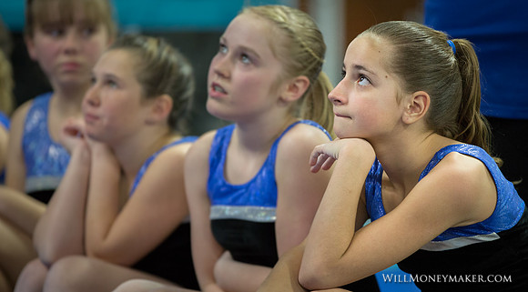 Gymnastics Homeschool Show