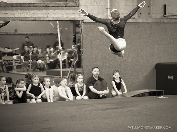 Gymnastics Homeschool Show