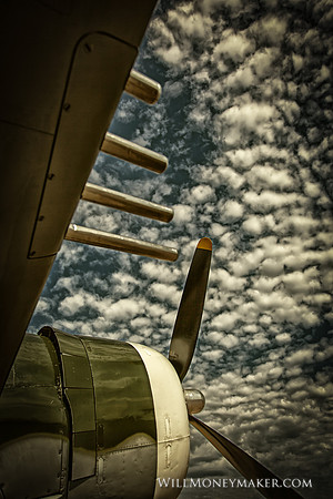 IMG_2328 - Republic Aviation's P-47 Thunderbolt