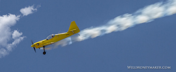 IMG_1281 - The Tumbling Bear (Rob Harrison)