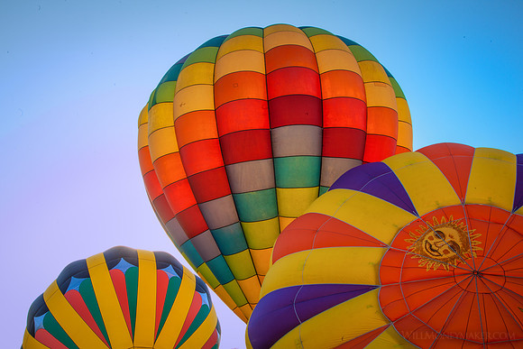 Citrus Classic Balloon Festival, Santa Paula, California - 09