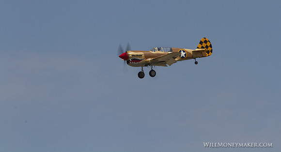 IMG_0194 - Curtiss P-40 Warhawk